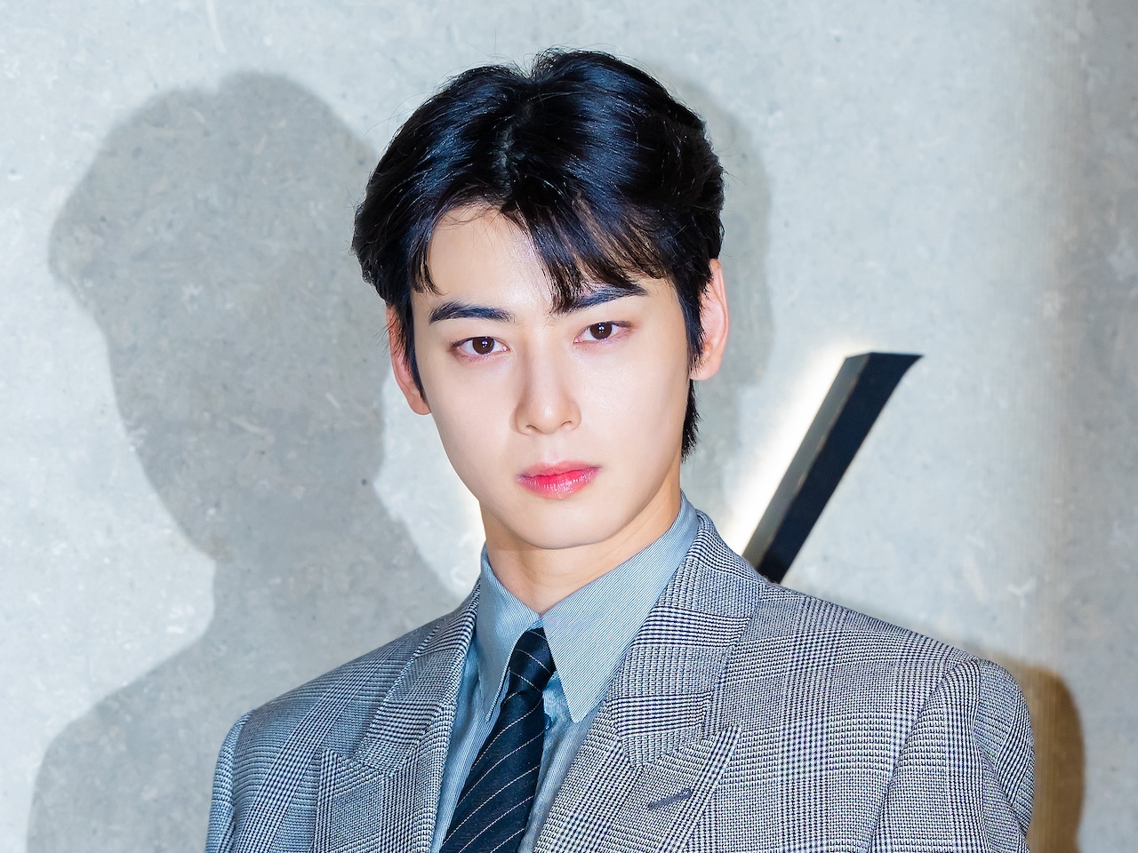 “逃げるための入隊”だったか。チェウヌに史上最大級の脱税疑惑…追徴課税200億ウォン