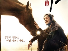 『馬医』の歴史解説！朝鮮王朝時代にとって馬は欠かせない存在だった